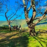 San Lorenzo - παραδοσιακά πέτρινα - άγιος λαυρέντιος πηλίου Appartement Agios Lavrentios