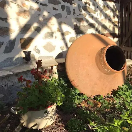 San Lorenzo - παραδοσιακά πέτρινα - άγιος λαυρέντιος πηλίου