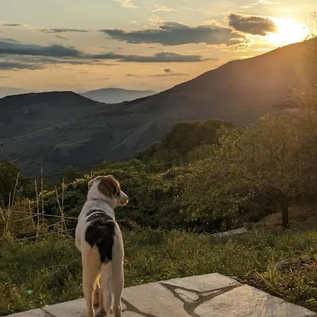 San Lorenzo - παραδοσιακά πέτρινα - άγιος λαυρέντιος πηλίου Lägenhet *