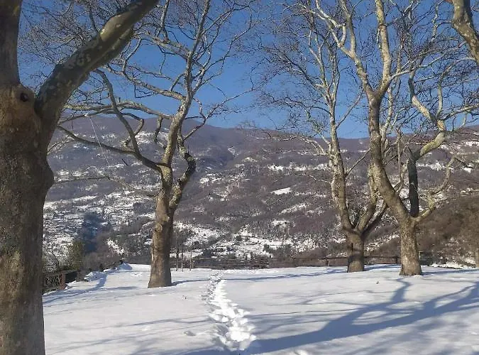 شقة San Lorenzo - παραδοσιακά πέτρινα - άγιος λαυρέντιος πηλίου Agios Lavrentios