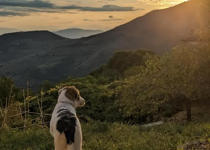 San Lorenzo - παραδοσιακά πέτρινα - άγιος λαυρέντιος πηλίου شقة *